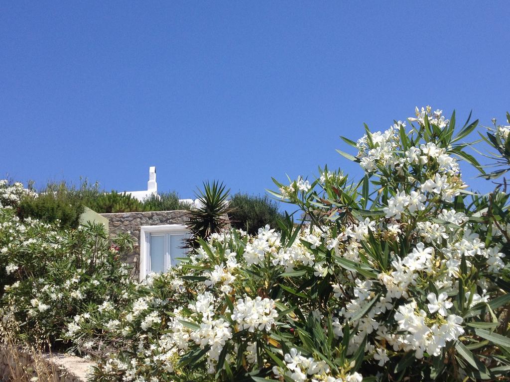 Mykonos Love Nest อโนเมรา ห้อง รูปภาพ